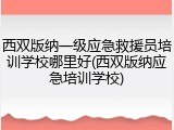 西双版纳一级应急救援员培训学校哪里好(西双版纳应急培训学校)