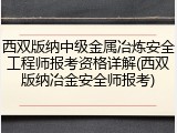 西双版纳中级金属冶炼安全工程师报考资格详解(西双版纳冶金安全师报考)