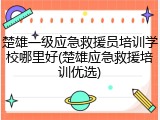 楚雄一级应急救援员培训学校哪里好(楚雄应急救援培训优选)