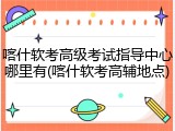 喀什软考高级考试指导中心哪里有(喀什软考高辅地点)