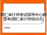 铜仁审计师考试指导中心哪里有(铜仁审计师培训点)
