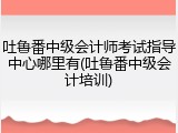 吐鲁番中级会计师考试指导中心哪里有(吐鲁番中级会计培训)