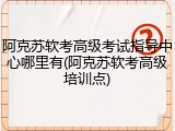 阿克苏软考高级考试指导中心哪里有(阿克苏软考高级培训点)