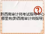 黔西南审计师考试指导中心哪里有(黔西南审计师指导)