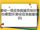 泰安一级应急救援员培训学校哪里好(泰安应急救援培训)