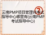 云南PMP项目管理师考试指导中心哪里有(云南PMP考试指导中心)