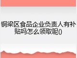 铜梁区食品企业负责人有补贴吗怎么领取呢()