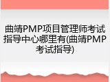 曲靖PMP项目管理师考试指导中心哪里有(曲靖PMP考试指导)
