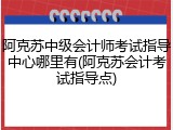 阿克苏中级会计师考试指导中心哪里有(阿克苏会计考试指导点)