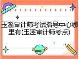 玉溪审计师考试指导中心哪里有(玉溪审计师考点)