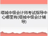 塔城中级会计师考试指导中心哪里有(塔城中级会计辅导)