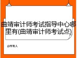 曲靖审计师考试指导中心哪里有(曲靖审计师考试点)