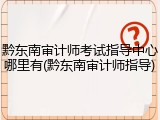 黔东南审计师考试指导中心哪里有(黔东南审计师指导)