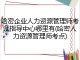 哈密企业人力资源管理师考试指导中心哪里有(哈密人力资源管理师考点)