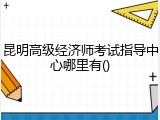 昆明高级经济师考试指导中心哪里有()