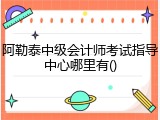 阿勒泰中级会计师考试指导中心哪里有()