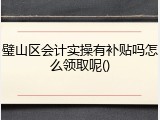 璧山区会计实操有补贴吗怎么领取呢()