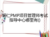 铜仁PMP项目管理师考试指导中心哪里有()