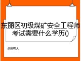 东丽区初级煤矿安全工程师考试需要什么学历()