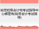 哈密初级会计师考试指导中心哪里有(哈密会计考试指导)
