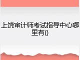 上饶审计师考试指导中心哪里有()