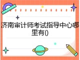 济南审计师考试指导中心哪里有()
