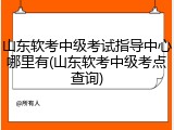 山东软考中级考试指导中心哪里有(山东软考中级考点查询)
