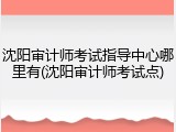 沈阳审计师考试指导中心哪里有(沈阳审计师考试点)