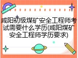 咸阳初级煤矿安全工程师考试需要什么学历(咸阳煤矿安全工程师学历要求)