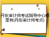 丹东审计师考试指导中心哪里有(丹东审计师考点)