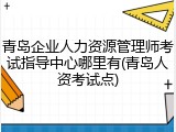 青岛企业人力资源管理师考试指导中心哪里有(青岛人资考试点)