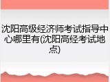 沈阳高级经济师考试指导中心哪里有(沈阳高经考试地点)