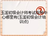 玉溪初级会计师考试指导中心哪里有(玉溪初级会计培训点)