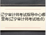 辽宁审计师考试指导中心哪里有(辽宁审计师考试地点)