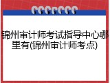 锦州审计师考试指导中心哪里有(锦州审计师考点)
