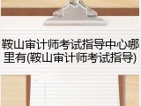 鞍山审计师考试指导中心哪里有(鞍山审计师考试指导)