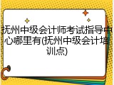 抚州中级会计师考试指导中心哪里有(抚州中级会计培训点)