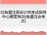 吐鲁番注册会计师考试指导中心哪里有(吐鲁番注会考点)