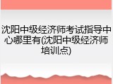 沈阳中级经济师考试指导中心哪里有(沈阳中级经济师培训点)