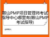 鞍山PMP项目管理师考试指导中心哪里有(鞍山PMP考试指导)