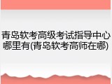 青岛软考高级考试指导中心哪里有(青岛软考高师在哪)