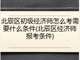 北辰区初级经济师怎么考需要什么条件(北辰区经济师报考条件)
