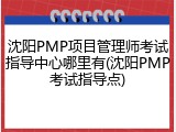 沈阳PMP项目管理师考试指导中心哪里有(沈阳PMP考试指导点)