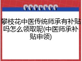 攀枝花中医传统师承有补贴吗怎么领取呢(中医师承补贴申领)