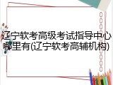 辽宁软考高级考试指导中心哪里有(辽宁软考高辅机构)