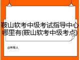 鞍山软考中级考试指导中心哪里有(鞍山软考中级考点)