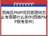 西青区PMP项目管理师怎么考需要什么条件(西青PMP报考条件)