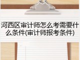 河西区审计师怎么考需要什么条件(审计师报考条件)