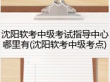 沈阳软考中级考试指导中心哪里有(沈阳软考中级考点)