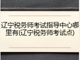 辽宁税务师考试指导中心哪里有(辽宁税务师考试点)